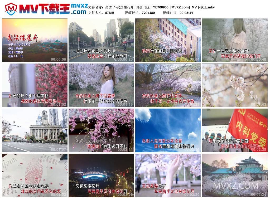 高秀平-武汉樱花开_国语_流行_YE700968